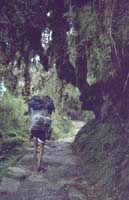 peru-inkatrail-2001-02-053