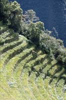 peru-inkatrail-2001-02-062