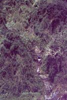 peru-inkatrail-2001-02-081