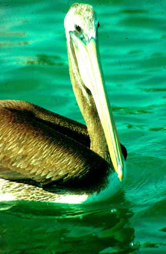 peru-kueste-panamericana-2001-02-003