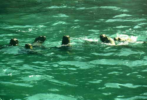 peru-kueste-panamericana-2001-02-004