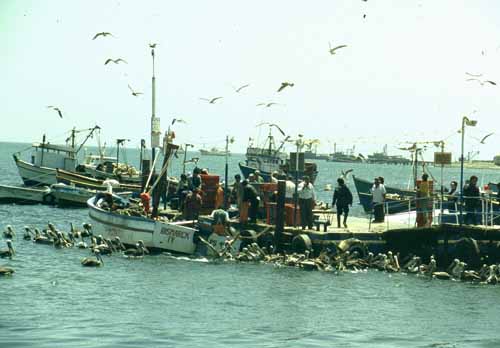 peru-kueste-panamericana-2001-02-010