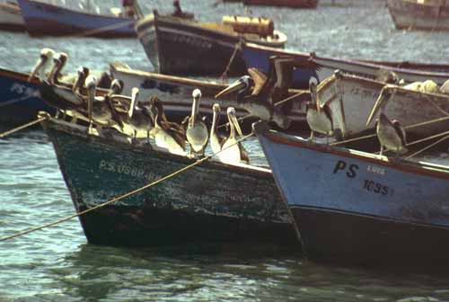 peru-kueste-panamericana-2001-02-013