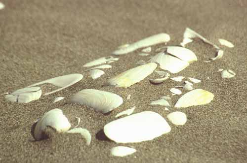 peru-kueste-panamericana-2001-02-016