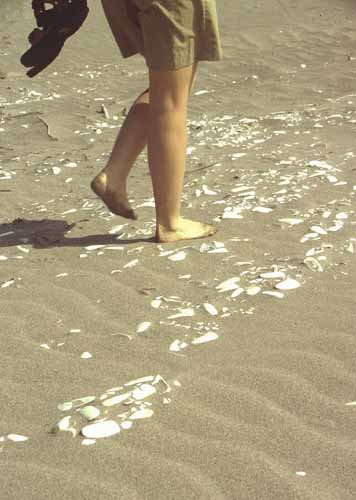 peru-kueste-panamericana-2001-02-017