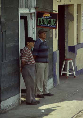 peru-kueste-panamericana-2001-02-022