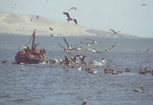 peru-kueste-panamericana-2001-02-024