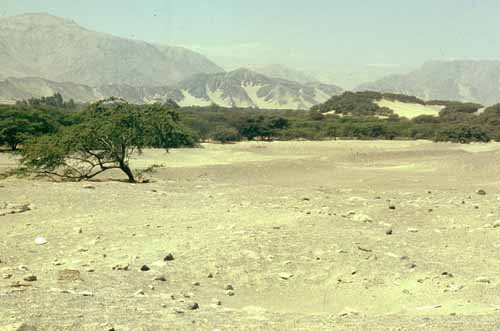 peru-nasca-2001-02-005