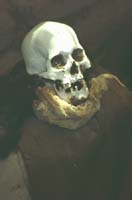 peru-nasca-2001-02-004