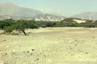 peru-nasca-2001-02-005