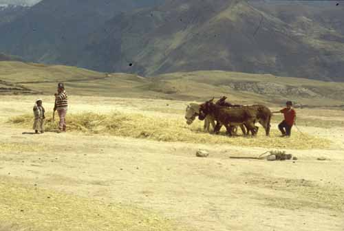 peru-urubambatal-2001-02-011