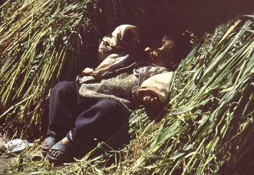 peru-titicacasee-2001-02-013