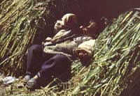 peru-titicacasee-2001-02-013