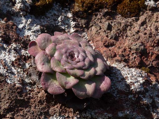 07-AchadasDaCruz-PortoMoniz-005