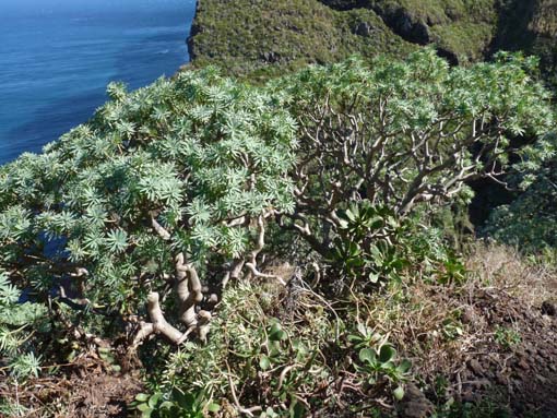 07-AchadasDaCruz-PortoMoniz-028