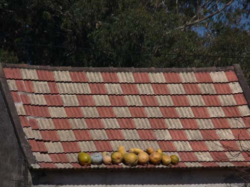 07-AchadasDaCruz-PortoMoniz-108