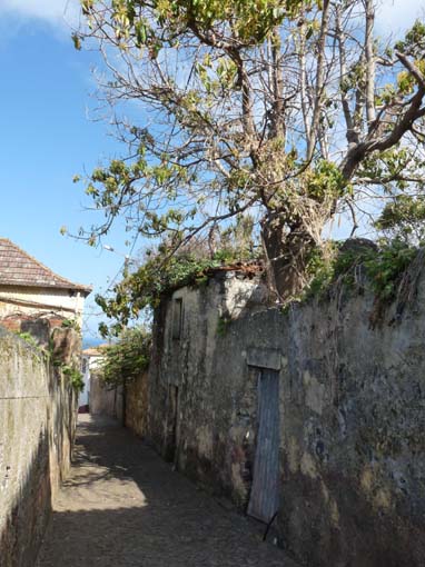 07-AchadasDaCruz-PortoMoniz-133