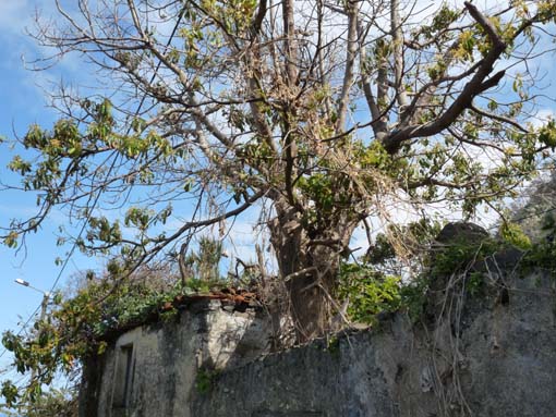 07-AchadasDaCruz-PortoMoniz-135