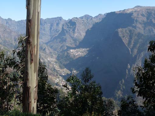 12-Corticeiras--Boca-dos-Namorados--Curral-das-Freiras-003