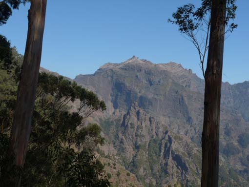 12-Corticeiras--Boca-dos-Namorados--Curral-das-Freiras-008