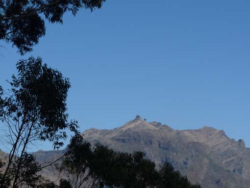 12-Corticeiras--Boca-dos-Namorados--Curral-das-Freiras-009