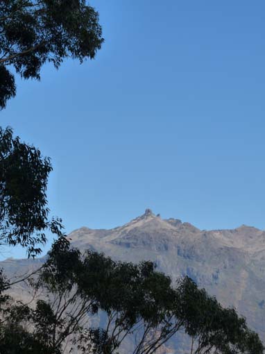 12-Corticeiras--Boca-dos-Namorados--Curral-das-Freiras-010