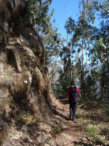 12-Corticeiras--Boca-dos-Namorados--Curral-das-Freiras-014