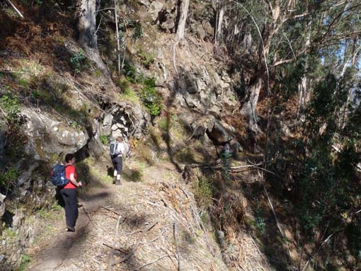 12-Corticeiras--Boca-dos-Namorados--Curral-das-Freiras-015