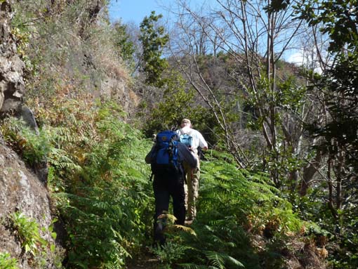 12-Corticeiras--Boca-dos-Namorados--Curral-das-Freiras-021