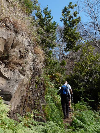 12-Corticeiras--Boca-dos-Namorados--Curral-das-Freiras-022