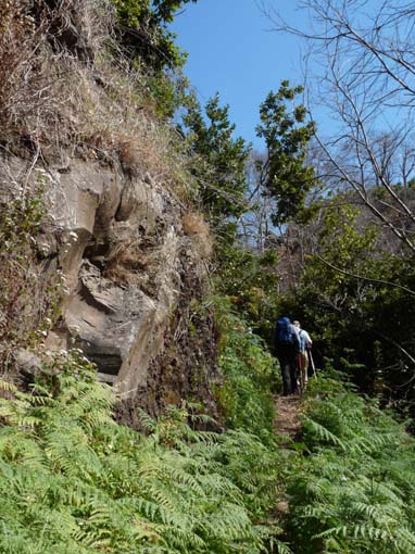 12-Corticeiras--Boca-dos-Namorados--Curral-das-Freiras-023