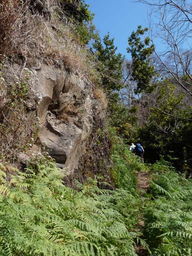 12-Corticeiras--Boca-dos-Namorados--Curral-das-Freiras-024