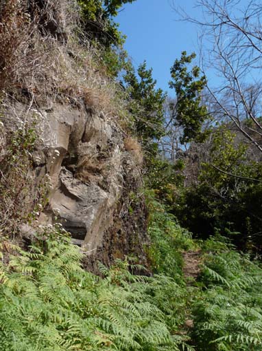 12-Corticeiras--Boca-dos-Namorados--Curral-das-Freiras-025