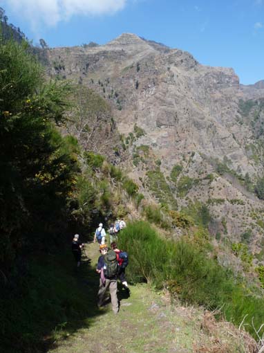 12-Corticeiras--Boca-dos-Namorados--Curral-das-Freiras-026