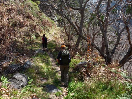 12-Corticeiras--Boca-dos-Namorados--Curral-das-Freiras-031