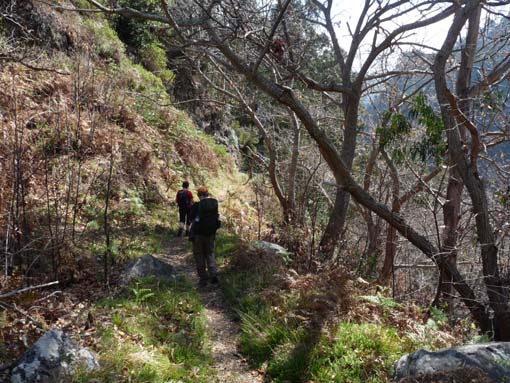 12-Corticeiras--Boca-dos-Namorados--Curral-das-Freiras-032