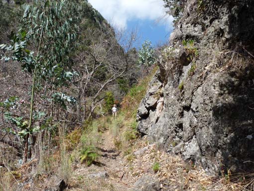 12-Corticeiras--Boca-dos-Namorados--Curral-das-Freiras-033