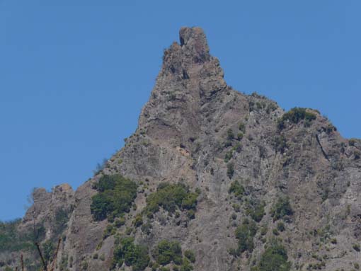 12-Corticeiras--Boca-dos-Namorados--Curral-das-Freiras-038