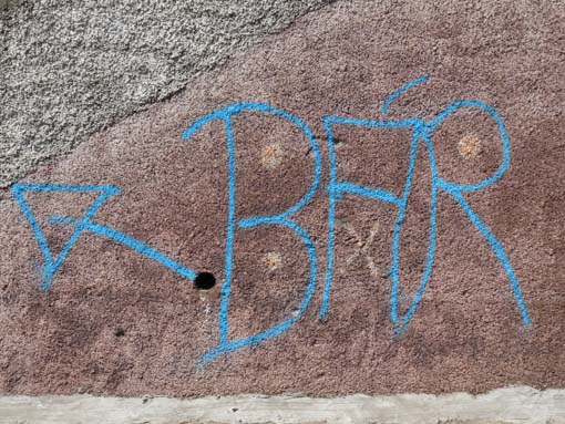 12-Corticeiras--Boca-dos-Namorados--Curral-das-Freiras-039