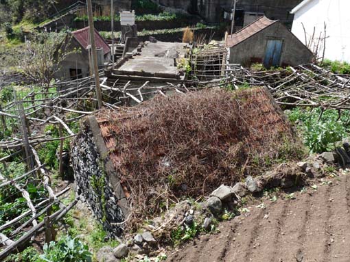 12-Corticeiras--Boca-dos-Namorados--Curral-das-Freiras-042