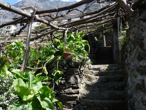 12-Corticeiras--Boca-dos-Namorados--Curral-das-Freiras-043