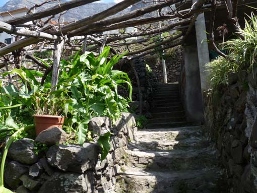 12-Corticeiras--Boca-dos-Namorados--Curral-das-Freiras-044