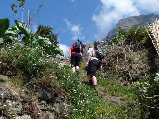 12-Corticeiras--Boca-dos-Namorados--Curral-das-Freiras-045