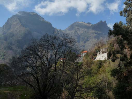 12-Corticeiras--Boca-dos-Namorados--Curral-das-Freiras-047