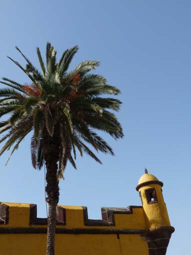 08-Funchal-011