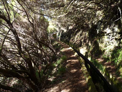 13-Levada-Alcerim--Rabacal--Cristo-Rei-006