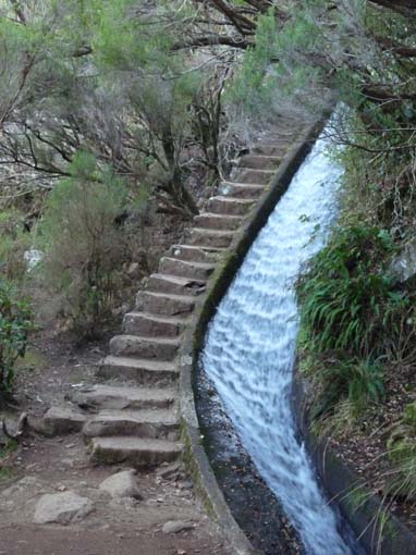 13-Levada-Alcerim--Rabacal--Cristo-Rei-007