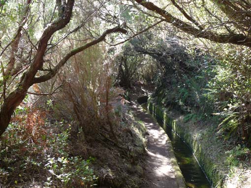 13-Levada-Alcerim--Rabacal--Cristo-Rei-011