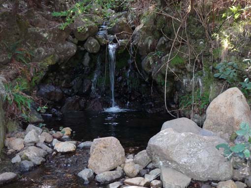 13-Levada-Alcerim--Rabacal--Cristo-Rei-013