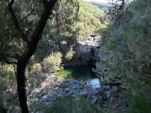 13-Levada-Alcerim--Rabacal--Cristo-Rei-014